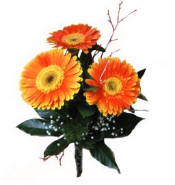 Transvaal daisy bouquet